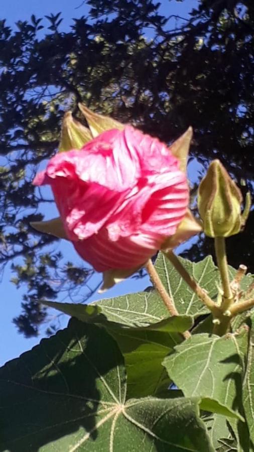 De Sol 公寓